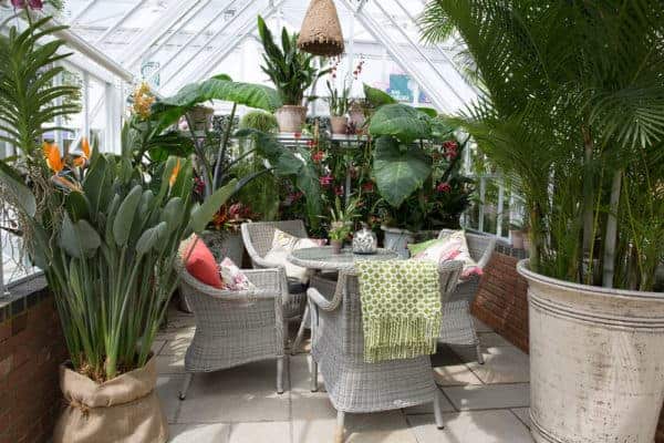 hanging plants