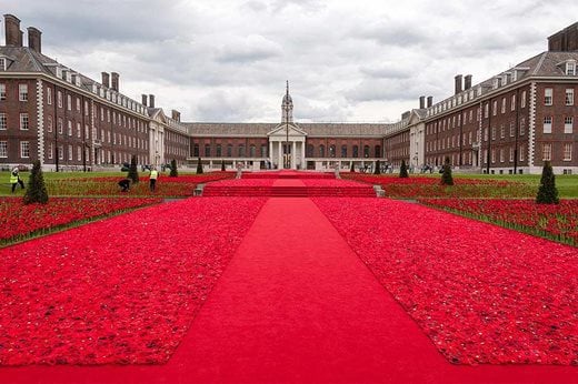 chelsea poppy display 2016