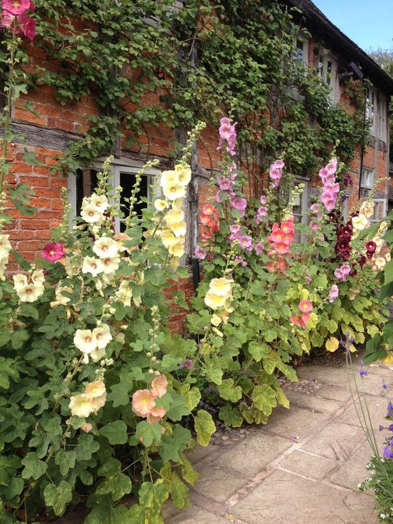 Cottage Garden