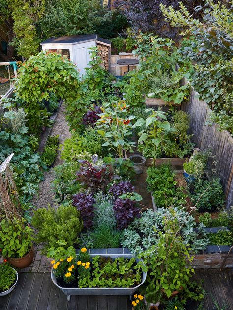 Permaculture Gardening
