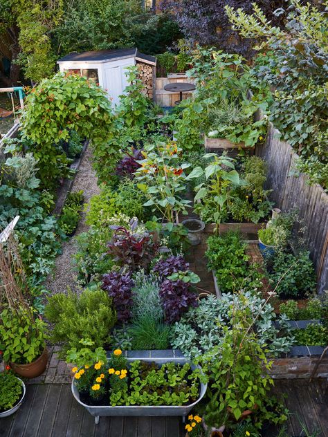 Permaculture Gardening 