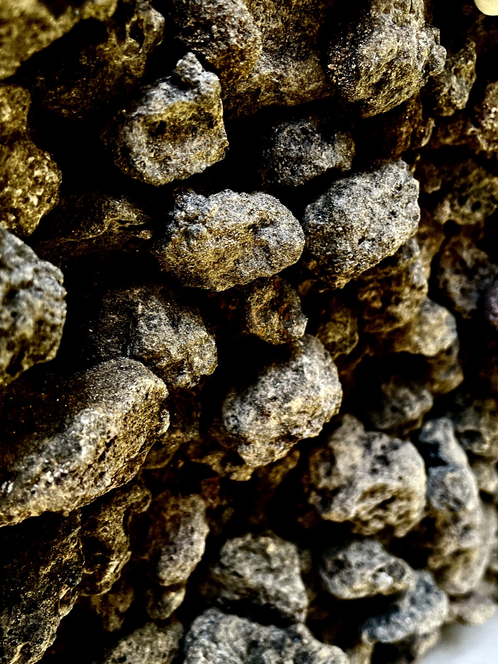 Black Lava Rocks