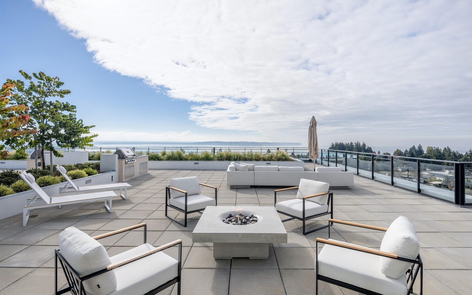 Gas Fire Pits vs. Wood Burning Fire Pits, Which is the Right Choice for You?